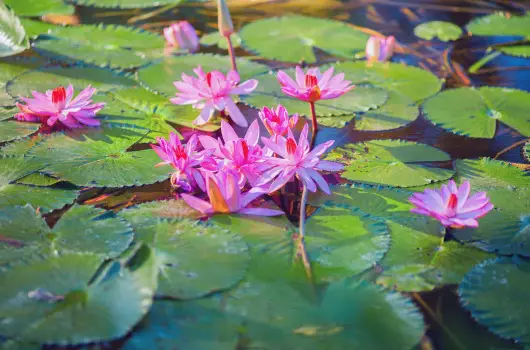 Hunguest Hotel Panor�ma - P�nk�sdi pihen�s H�v�zen a Hunguest Panor�m�ban (min. 2 �j) 