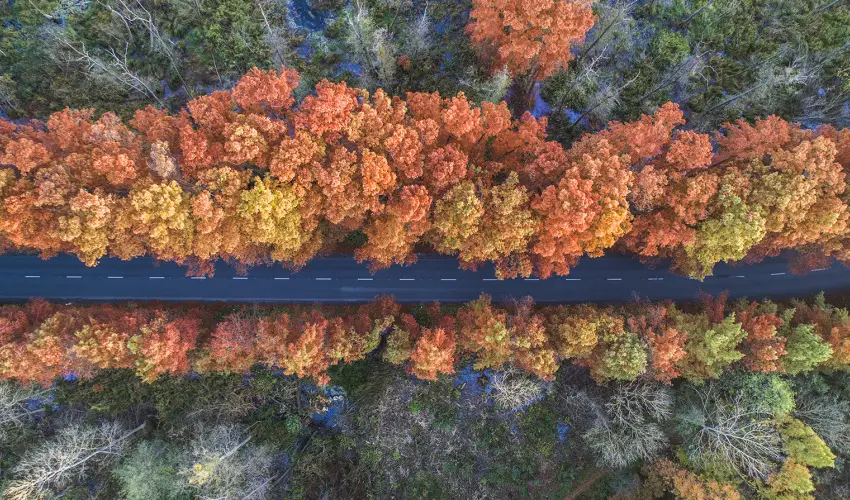 Hunguest Hotel Panor�ma H�v�z - P�nk�sdi pihen�s H�v�zen a Hunguest Panor�m�ban (min. 2 �j) 