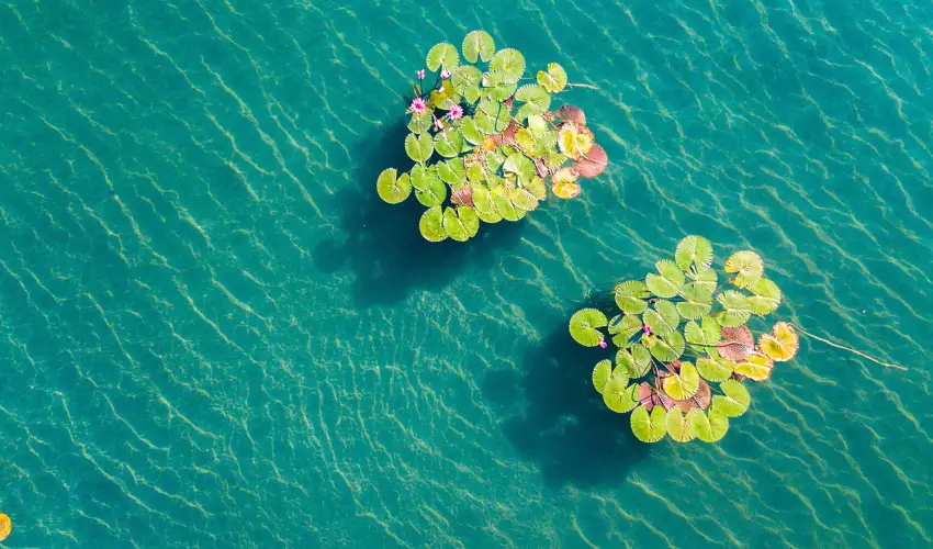 Hunguest Hotel Panor�ma H�v�z - P�nk�sdi pihen�s H�v�zen a Hunguest Panor�m�ban (min. 2 �j) 