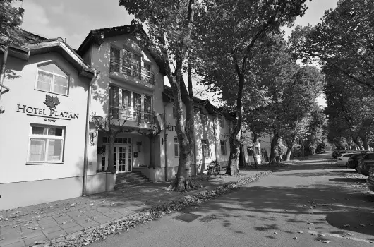 Hotel Platán Székesfehérvár - Pünkösd