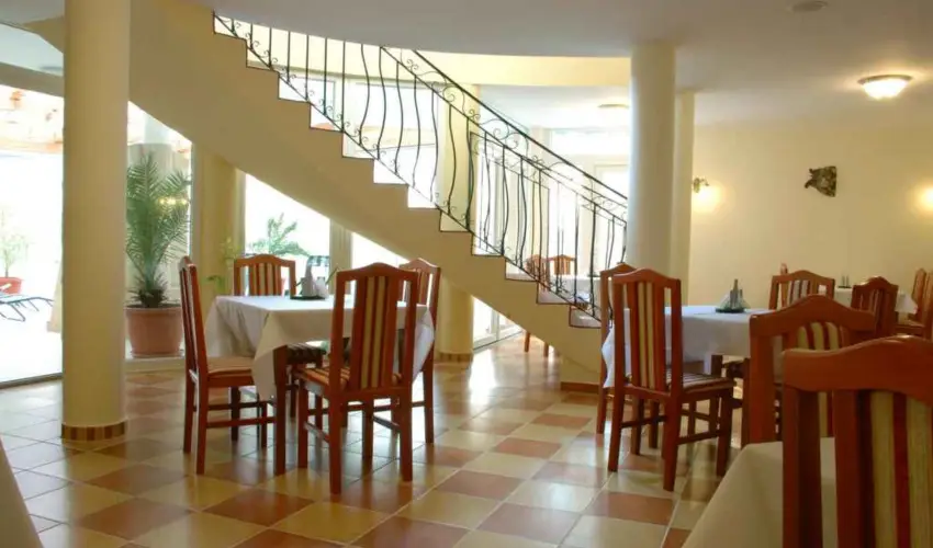 Sante Hvz Hvz - Pnksd (min. 2 j)