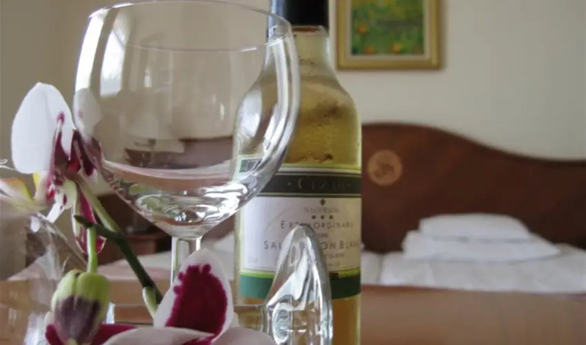 Sante Hvz Hvz - Pnksd (min. 2 j)