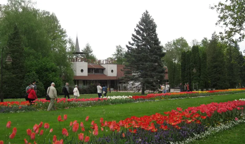 Sante Hvz Hvz - Pnksd (min. 2 j)