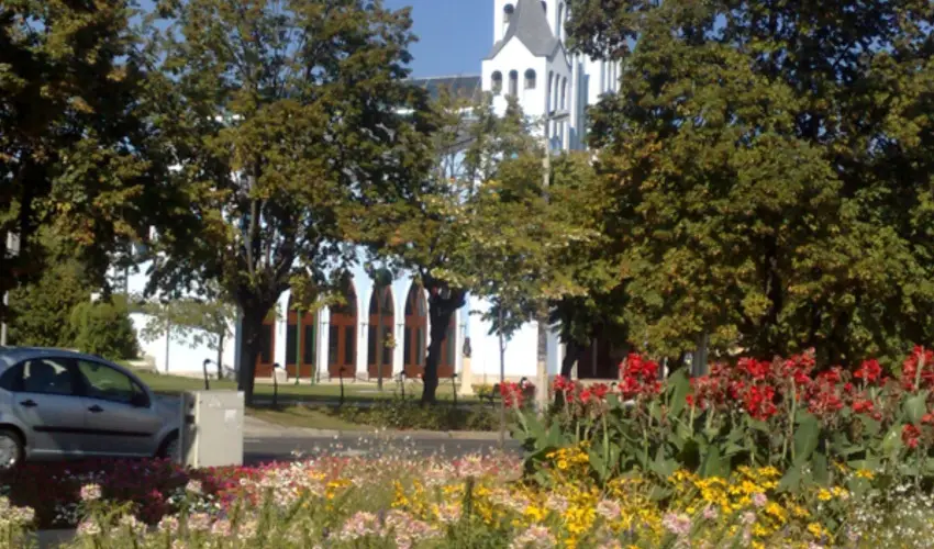 Sante Hvz Hvz - Pnksd (min. 2 j)