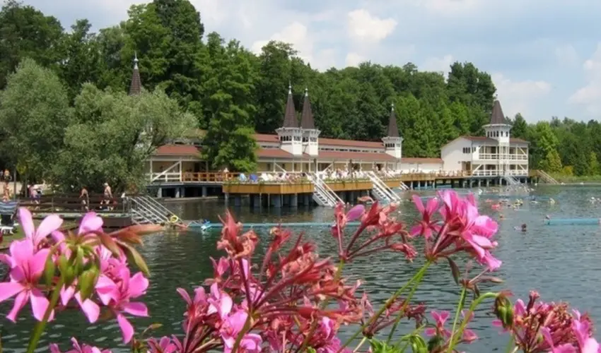 Sante Hvz Hvz - Pnksd (min. 2 j)