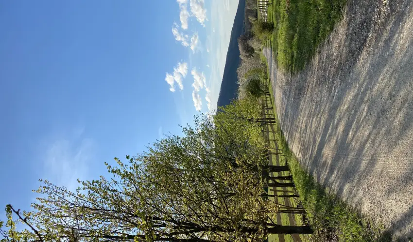 Hotel Szpalma Porva-Szpalmapuszta - Pnksd