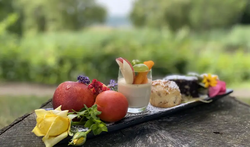 Hotel Szpalma Porva-Szpalmapuszta - Pnksd