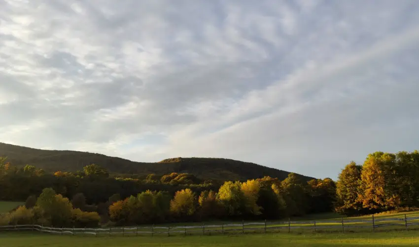 Hotel Sz�palma Porva-Sz�palmapuszta - P�nk�sd (min. 3 �j)