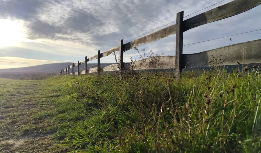 Hotel Sz�palma Porva-Sz�palmapuszta - P�nk�sd (min. 3 �j)