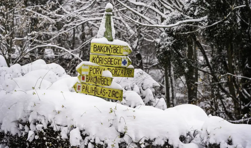 Hotel Sz�palma Porva-Sz�palmapuszta - P�nk�sd (min. 3 �j)