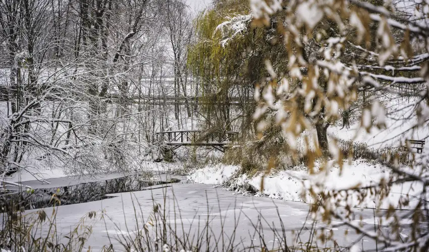 Hotel Sz�palma Porva-Sz�palmapuszta - P�nk�sd (min. 3 �j)