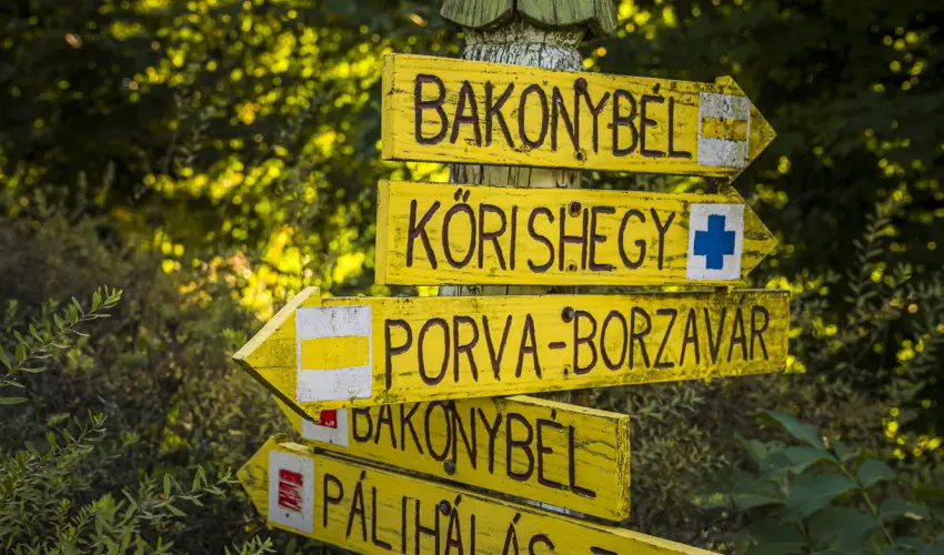 Hotel Sz�palma Porva-Sz�palmapuszta - P�nk�sd (min. 3 �j)