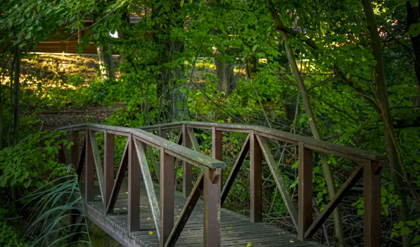 Hotel Sz�palma Porva-Sz�palmapuszta - P�nk�sd (min. 3 �j)