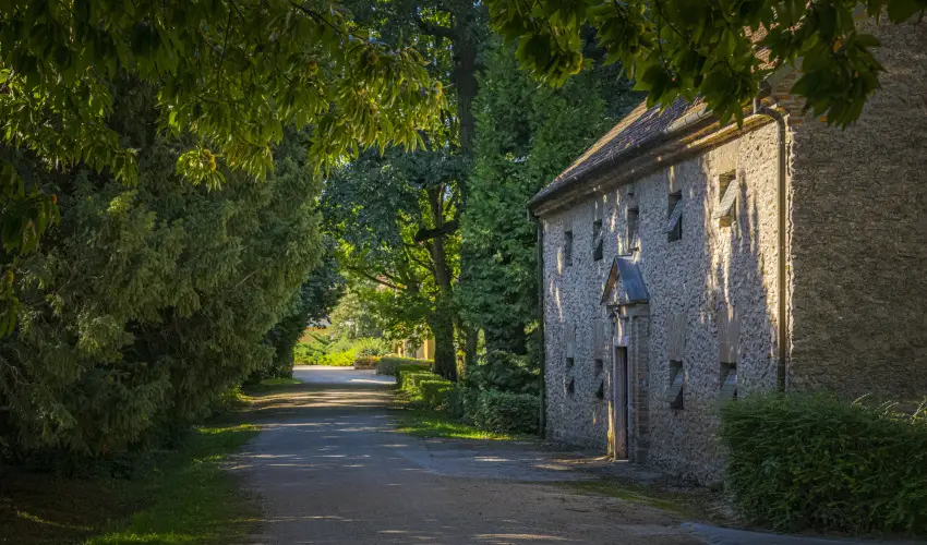 Hotel Sz�palma Porva-Sz�palmapuszta - P�nk�sd (min. 3 �j)