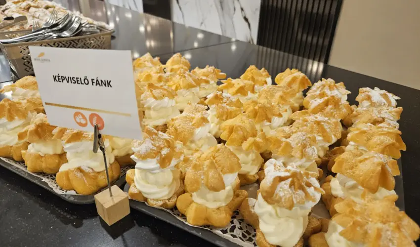 Hotel Szieszta Sopron - P�nk�sd 