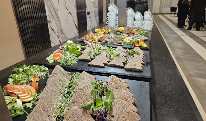 Hotel Szieszta Sopron - P�nk�sd 