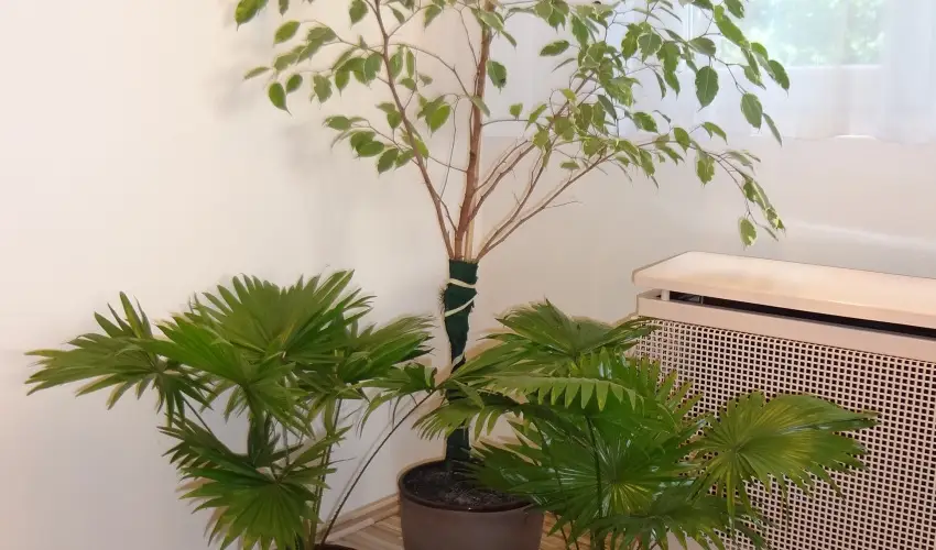 Hotel Touring Nagykanizsa - Pnksd 