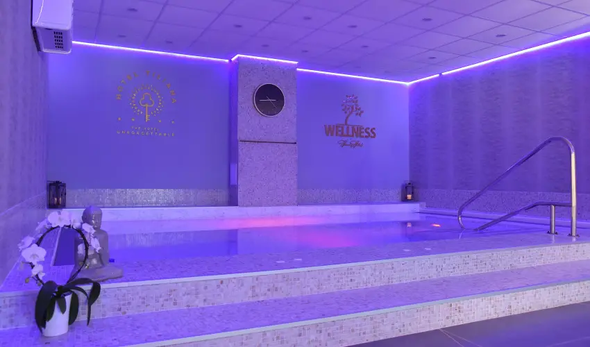 The Hotel Unforgettable - Hotel Tiliana by Homoky Hotels Budapest - Pnksd 