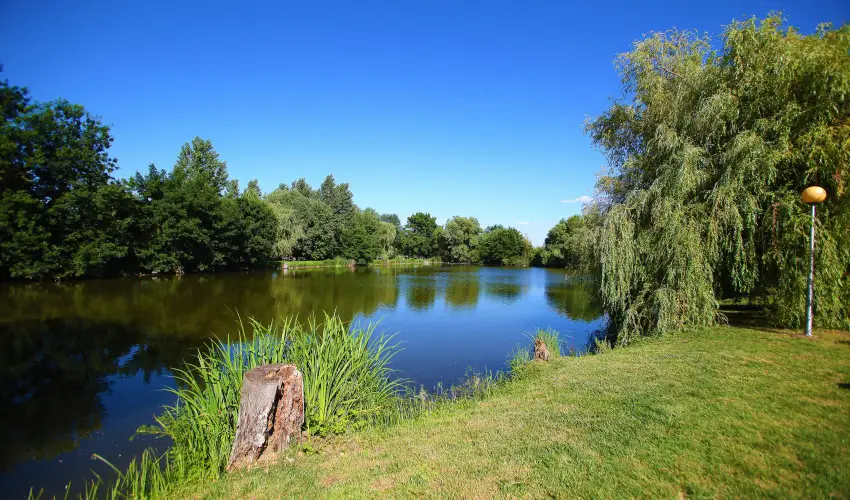 Terml Hotel Vesta Tpiszecs - Pnksd 