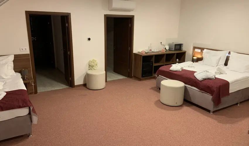 Term�l Hotel Vesta T�pi�szecs� - P�nk�sd 