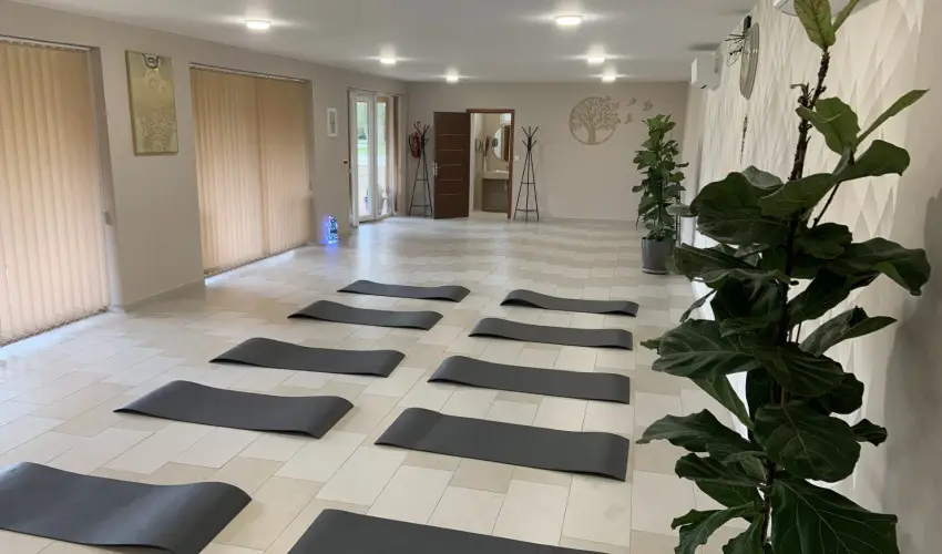 Term�l Hotel Vesta T�pi�szecs� - P�nk�sd 