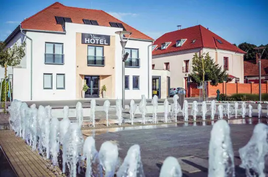 Hotel Vikt�ria - P�nk�sd