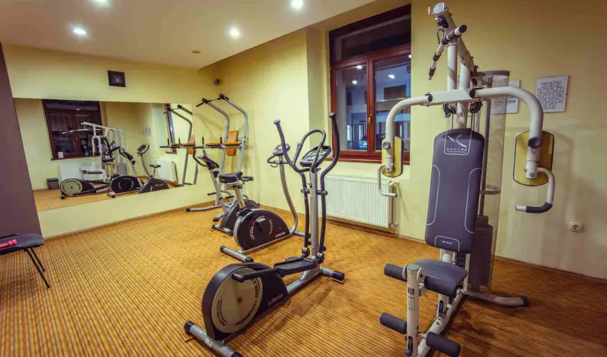 Hotel Viktria Srvr - Pnksd 