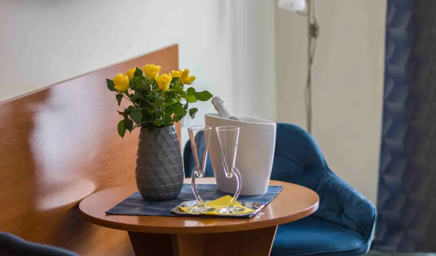 Hotel Viktria Srvr - Pnksd 