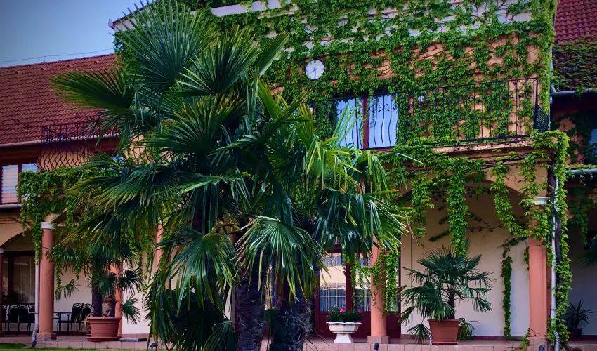 Hotel Vinum Wellness s Konferencia Hotel Kiskrs - Pnksd