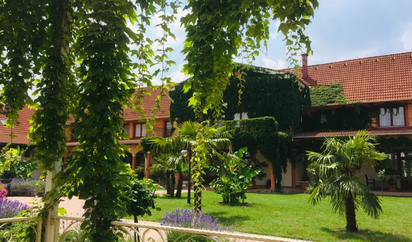 Hotel Vinum Wellness s Konferencia Hotel Kiskrs - Pnksd