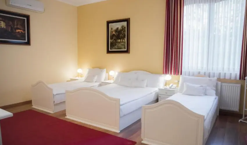 Hotel Vinum Wellness s Konferencia Hotel Kiskrs - Pnksd