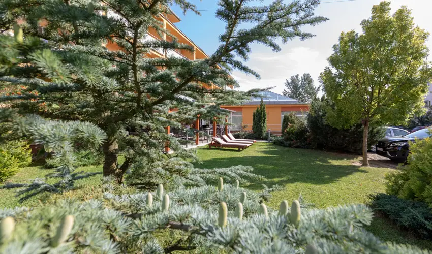 Hotel Vital Zalakaros - Pnksd