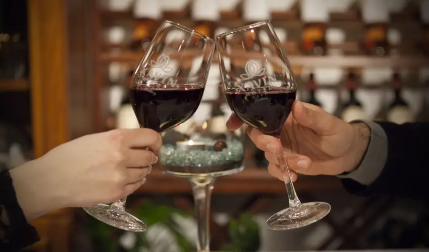 Hotel Xavin Harkny - Pnksd