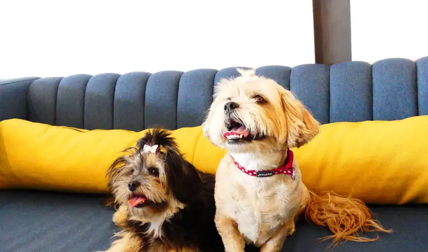 Hotel Yacht Wellness & Business Sifok - Pnksd (min. 3 j)