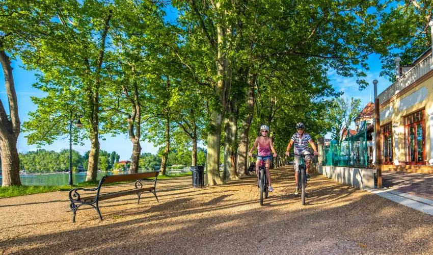 Hotel Anna Villa Balatonfldvr - Pnksd