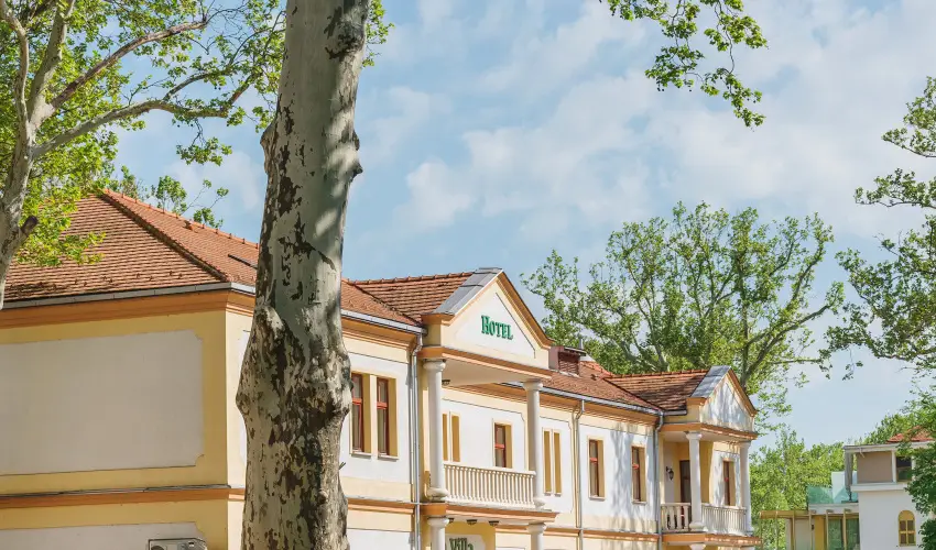 Hotel Anna Villa Balatonfldvr - Pnksd