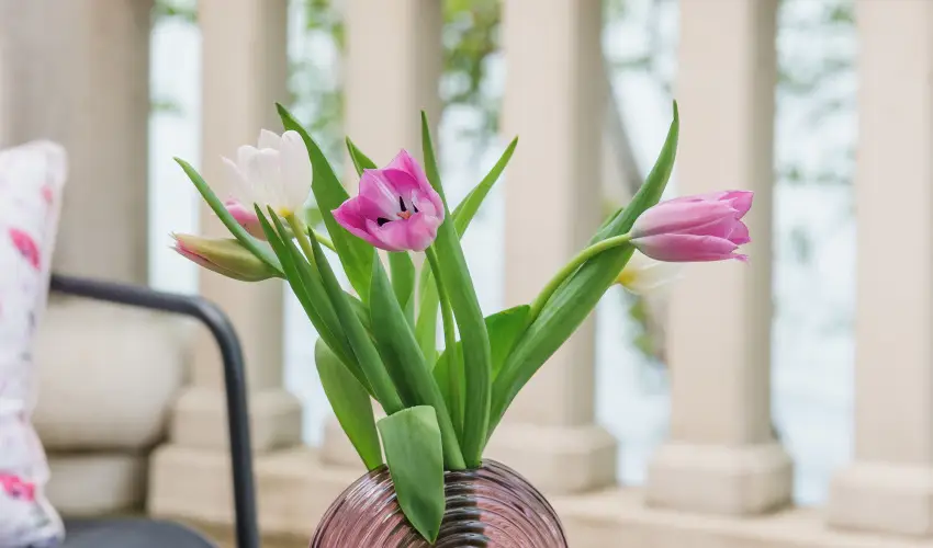 Hotel Anna Villa Balatonfldvr - Pnksd