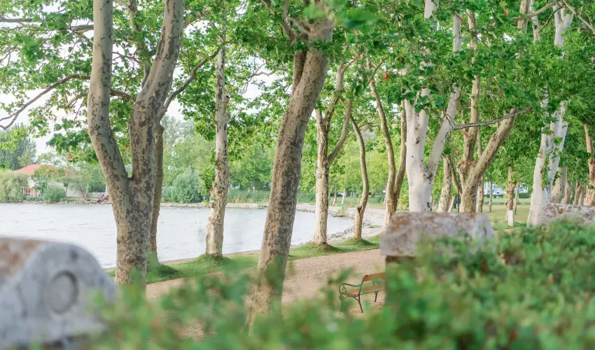 Hotel Anna Villa Balatonfldvr - Pnksd