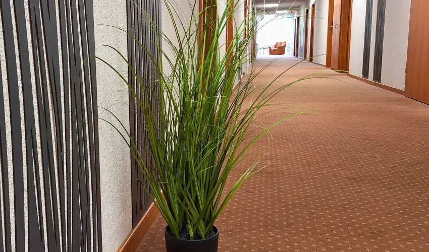 Hungarospa Thermal Hotel Hajdszoboszl - Pnksd (min. 2 j)