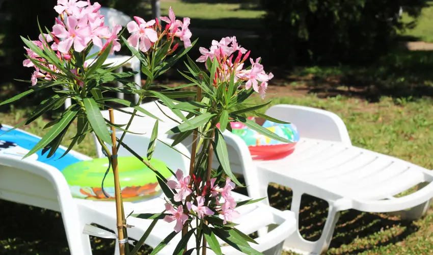 Hotel Hforrs Hajdszoboszl - Pnksd (min. 2 j)