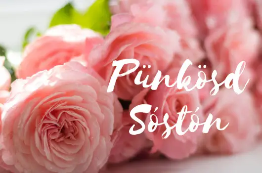 Hunguest Hotel S�st� - P�nk�sd (min. 3 �j)