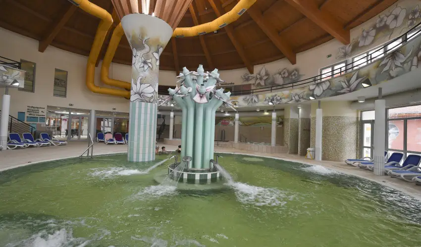 Hunguest Hotel S�st� Ny�regyh�za - S�st� - P�nk�sd (min. 3 �j)