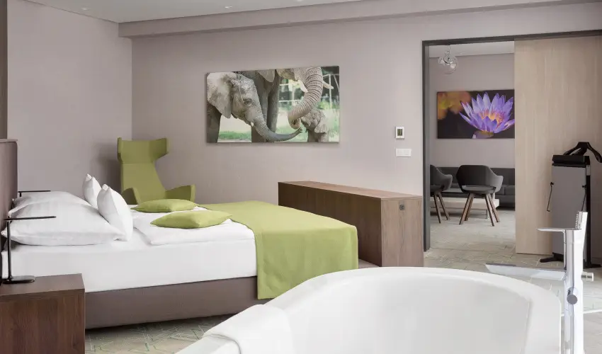 Hunguest Hotel S�st� Ny�regyh�za - S�st� - P�nk�sd (min. 3 �j)