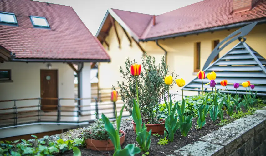 Imola Udvarhz Eger - Pnksd (min. 2 j)