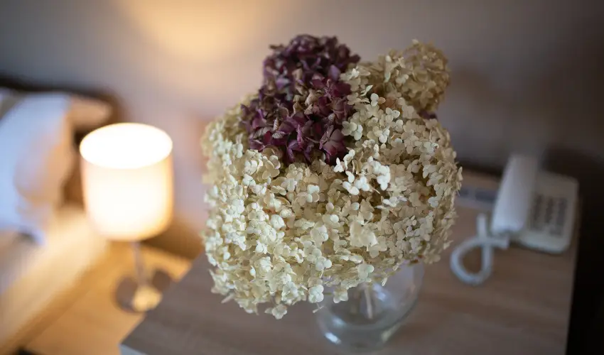 Zsanett Hotel Balatonkeresztr - Pnksd 