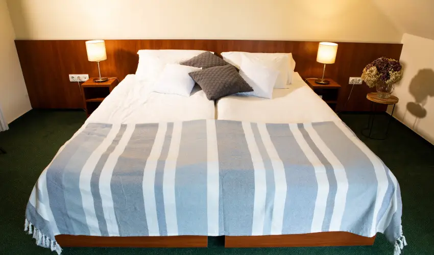 Zsanett Hotel Balatonkeresztr - Pnksd 