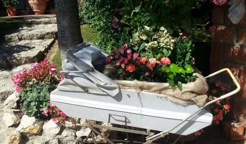 Jo Fogad Wellness Panzi Rbapaty - Pnksd