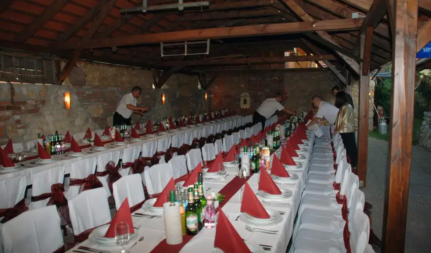 Jo Fogad Wellness Panzi Rbapaty - Pnksd