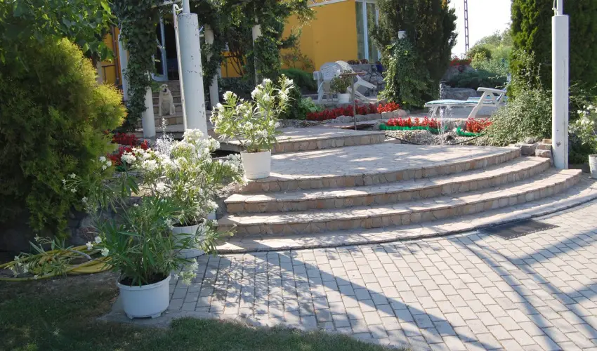 Judit Panzi Tapolca-Gyulakeszi - Pnksd (min. 2 j)