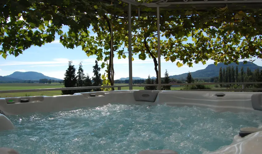 Judit Panzi Tapolca-Gyulakeszi - Pnksd (min. 2 j)